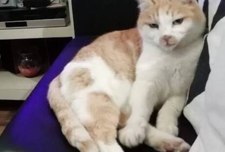 Pensione Casalinga per Piccoli Animali - Diego - Sara