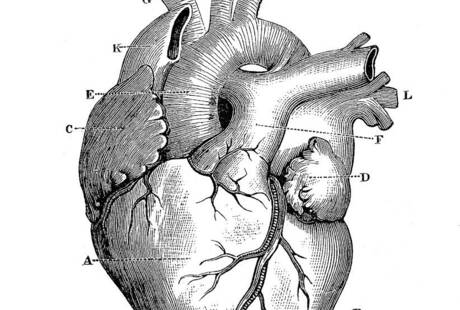 Ruggero Tinelli, Osteopata - Team 32